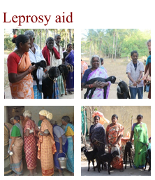 Ccara Leprosy-Aid